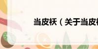 當(dāng)皮襖(關(guān)于當(dāng)皮襖介紹)