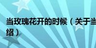 當(dāng)玫瑰花開的時(shí)候(關(guān)于當(dāng)玫瑰花開的時(shí)候介紹)