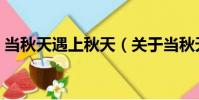 當(dāng)秋天遇上秋天(關(guān)于當(dāng)秋天遇上秋天介紹)