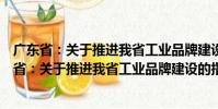 廣東?。宏P(guān)于推進我省工業(yè)品牌建設(shè)的指導(dǎo)意見(關(guān)于廣東省:關(guān)于推進我省工業(yè)品牌建設(shè)的指導(dǎo)意見介紹)