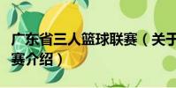 廣東省三人籃球聯(lián)賽(關(guān)于廣東省三人籃球聯(lián)賽介紹)