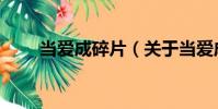 當(dāng)愛成碎片(關(guān)于當(dāng)愛成碎片介紹)