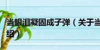 當(dāng)眼淚凝固成子彈(關(guān)于當(dāng)眼淚凝固成子彈介紹)