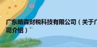 廣東皓森財(cái)稅科技有限公司(關(guān)于廣東皓森財(cái)稅科技有限公司介紹)