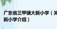 廣東省三甲鎮(zhèn)大新小學(xué)(關(guān)于廣東省三甲鎮(zhèn)大新小學(xué)介紹)