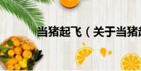 當(dāng)豬起飛(關(guān)于當(dāng)豬起飛介紹)