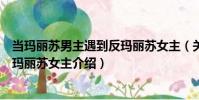 當(dāng)瑪麗蘇男主遇到反瑪麗蘇女主(關(guān)于當(dāng)瑪麗蘇男主遇到反瑪麗蘇女主介紹)