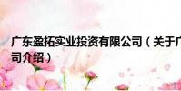廣東盈拓實業(yè)投資有限公司(關(guān)于廣東盈拓實業(yè)投資有限公司介紹)