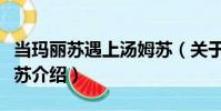 當(dāng)瑪麗蘇遇上湯姆蘇(關(guān)于當(dāng)瑪麗蘇遇上湯姆蘇介紹)