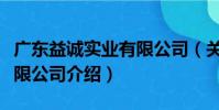 廣東益誠(chéng)實(shí)業(yè)有限公司(關(guān)于廣東益誠(chéng)實(shí)業(yè)有限公司介紹)