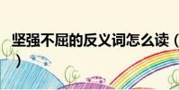 堅(jiān)強(qiáng)不屈的反義詞怎么讀(堅(jiān)強(qiáng)不屈的反義詞)