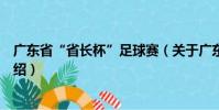 廣東省“省長杯”足球賽(關于廣東省“省長杯”足球賽介紹)