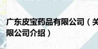 廣東皮寶藥品有限公司(關(guān)于廣東皮寶藥品有限公司介紹)