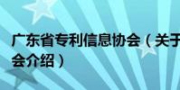 廣東省專利信息協(xié)會(huì)(關(guān)于廣東省專利信息協(xié)會(huì)介紹)
