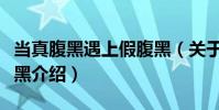 當(dāng)真腹黑遇上假腹黑(關(guān)于當(dāng)真腹黑遇上假腹黑介紹)