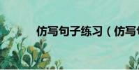 仿寫句子練習(xí)(仿寫句子練習(xí))