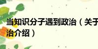 當(dāng)知識(shí)分子遇到政治(關(guān)于當(dāng)知識(shí)分子遇到政治介紹)