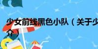少女前線黑色小隊(關(guān)于少女前線黑色小隊簡介)