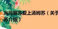 當(dāng)瑪麗蘇愛上湯姆蘇(關(guān)于當(dāng)瑪麗蘇愛上湯姆蘇介紹)