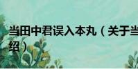 當(dāng)田中君誤入本丸(關(guān)于當(dāng)田中君誤入本丸介紹)