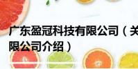 廣東盈冠科技有限公司(關(guān)于廣東盈冠科技有限公司介紹)