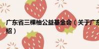 廣東省三棵柚公益基金會(關(guān)于廣東省三棵柚公益基金會介紹)