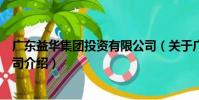 廣東益華集團(tuán)投資有限公司(關(guān)于廣東益華集團(tuán)投資有限公司介紹)