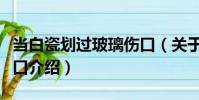 當白瓷劃過玻璃傷口(關(guān)于當白瓷劃過玻璃傷口介紹)