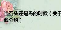 當(dāng)石頭還是鳥的時(shí)候(關(guān)于當(dāng)石頭還是鳥的時(shí)候介紹)