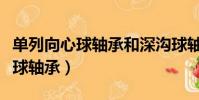 單列向心球軸承和深溝球軸承區(qū)別(單列向心球軸承)