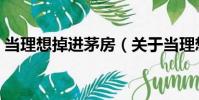 當(dāng)理想掉進(jìn)茅房(關(guān)于當(dāng)理想掉進(jìn)茅房介紹)