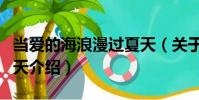 當(dāng)愛(ài)的海浪漫過(guò)夏天(關(guān)于當(dāng)愛(ài)的海浪漫過(guò)夏天介紹)