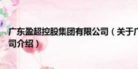 廣東盈超控股集團有限公司(關(guān)于廣東盈超控股集團有限公司介紹)