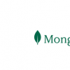 在MongoDB World 2022上公布開(kāi)發(fā)人員數(shù)據(jù)平臺(tái)的愿景