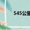 545公里續(xù)航model y（54585）