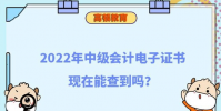 2022年中級(jí)會(huì)計(jì)電子證書現(xiàn)在能查到嗎