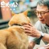 馮小剛談接演忠犬八公原因