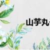 山芋丸子（關(guān)于山芋丸子簡(jiǎn)介）