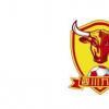 四川九牛以不成功便成仁態(tài)度