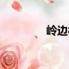 嶺邊村（關(guān)于嶺邊村簡介）