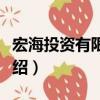 宏海投資有限公司（關于宏海投資有限公司介紹）