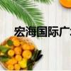 宏海國際廣場（關于宏海國際廣場介紹）