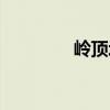 嶺頂埔（關(guān)于嶺頂埔簡介）