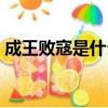 成王敗寇是什么意思（成王敗寇意思是什么）