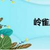 嶺雀屬（關于嶺雀屬簡介）