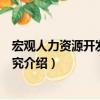 宏觀人力資源開發(fā)戰(zhàn)略研究（關(guān)于宏觀人力資源開發(fā)戰(zhàn)略研究介紹）
