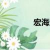 宏海洋（關于宏海洋介紹）