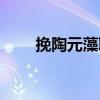 挽陶元藻聯(lián)（關(guān)于挽陶元藻聯(lián)簡介）