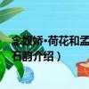 念奴嬌·荷花和孟晉用白石韻（關于念奴嬌·荷花和孟晉用白石韻介紹）