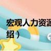 宏觀人力資源管理（關(guān)于宏觀人力資源管理介紹）